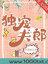 独宠夫郎图片