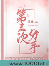 第三次分手图片