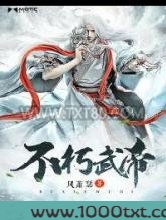 不朽武帝图片