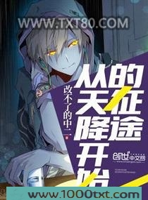 从天降开始的征途图片
