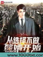 从选择不做赘婿开始图片