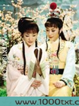 《红楼梦》脂砚斋批本图片