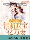 帝少通缉令：智萌双宝亿万妻图片