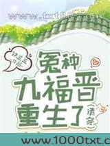[清穿]冤种九福晋重生了图片