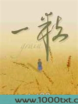 一粒图片
