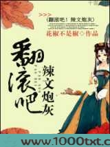 翻滚吧!辣文炮灰图片