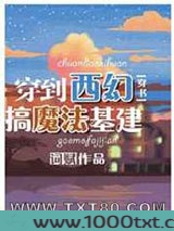 穿到西幻搞魔法基建图片