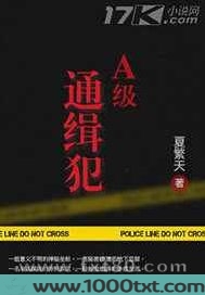 A级通缉犯图片