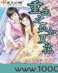 重生之灿如夏花