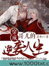 穿成哥儿的逆袭人生