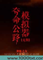 求生公路模拟器[无限]图片