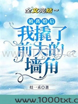 被离婚后我撬了前夫的墙角图片