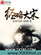 经略大宋图片