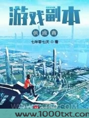 游戏副本供应商