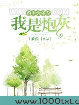 重生六零之我是炮灰图片
