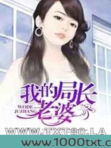 我的局长老婆图片