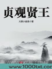 贞观贤王图片