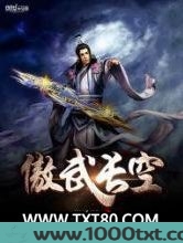 傲武长空图片