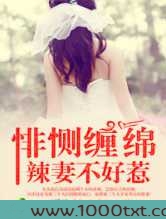 悱恻豪门，辣妻不好惹