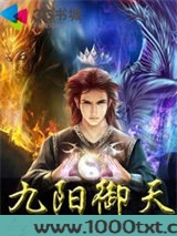 九阳御天图片