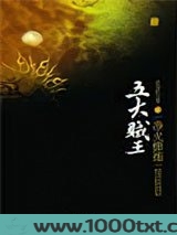 五大贼王3：净火修炼图片