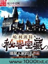 哈利波特与秘密宝藏图片