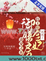 清穿之在御膳房打工后我成了令妃图片