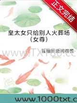 皇太女只给别人火葬场（女尊）图片
