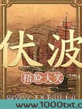 伏波图片