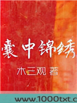 囊中锦绣图片