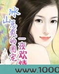 冰山总裁的圈宠:一夜欢情图片