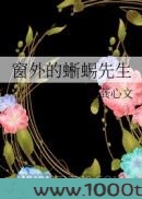 窗外的蜥蜴先生