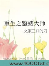 重生之鉴婊大师图片