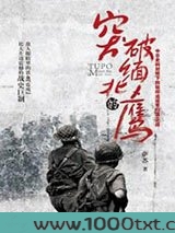突破缅北的鹰：中日史料对照下的中国驻印军归国之战图片