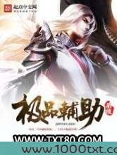 极品辅助系统