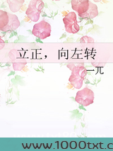 立正,向左转图片