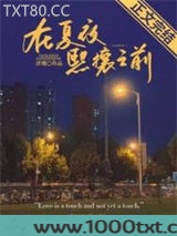 在夏夜熙攘之前图片