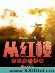 从红楼开始拯救名著图片