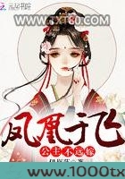 凤凰于飞：公主不远嫁
