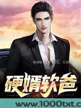 硬婿软爸图片
