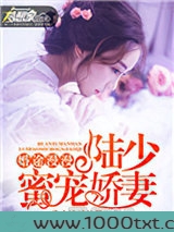 婚途漫漫：陆少蜜宠娇妻