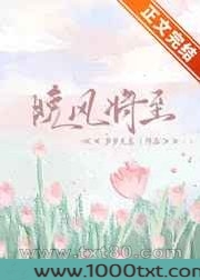 晚风将至图片