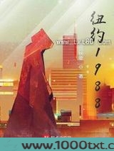 纽约1988图片