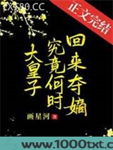 大皇子究竟何时夺嫡图片