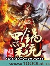 超级黑锅系统图片