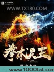 拳术天王图片