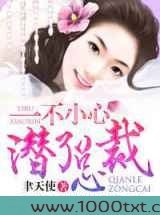 一不小心潜了总裁