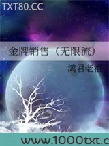 金牌销售（无限流）图片