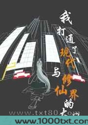 我打通了现代与修仙界的大门图片