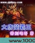 大唐楚霸王图片